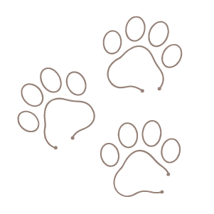 paw prints